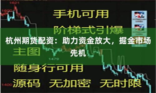 杭州期货配资：助力资金放大，掘金市场先机